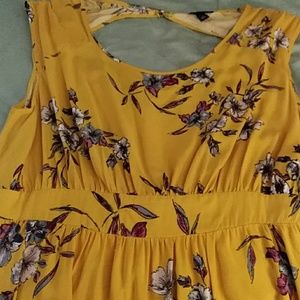 Dress by: Torrid Skater Spring Dress